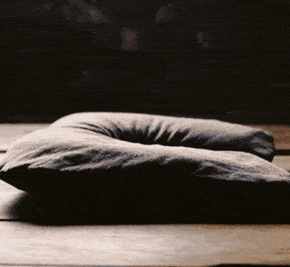 Hideout Travel Pillows
